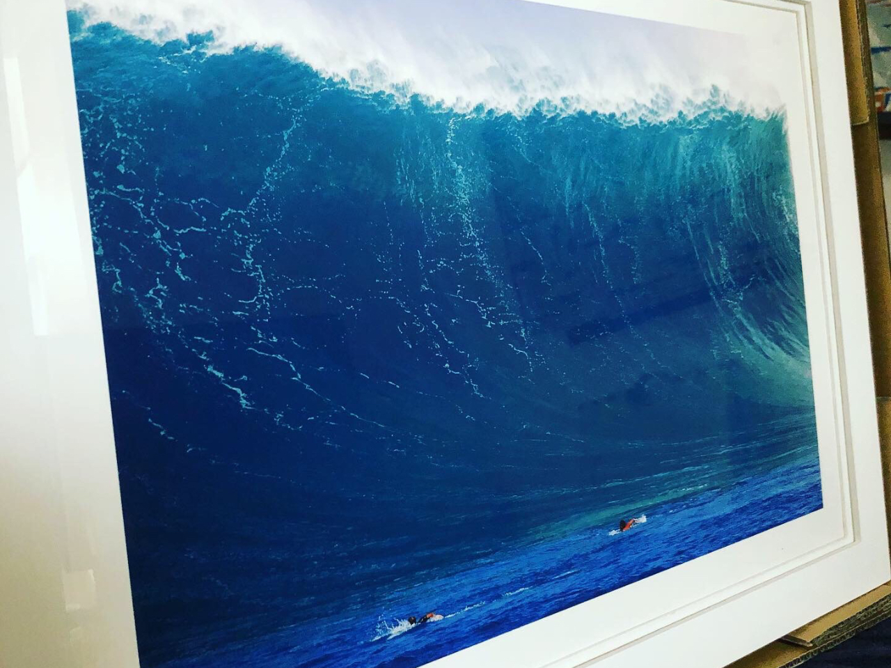 ṽT[tB̉ЁAЃPSAłB܂ł4000l̎тBیtňSłB