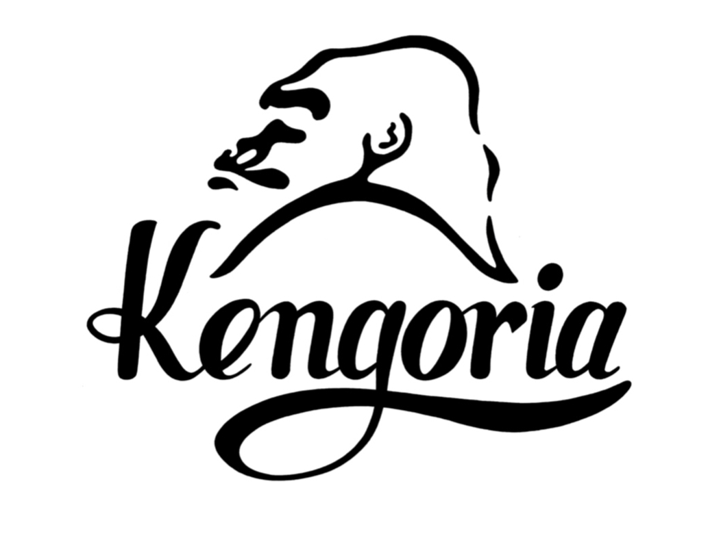 {ł͗LȊЂ̃PSAƂAV܂̃T[tB̉ЂňSłBLN̕X󂯂ĂĂ܂B