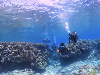 透き通る水の世界へ(^^)/