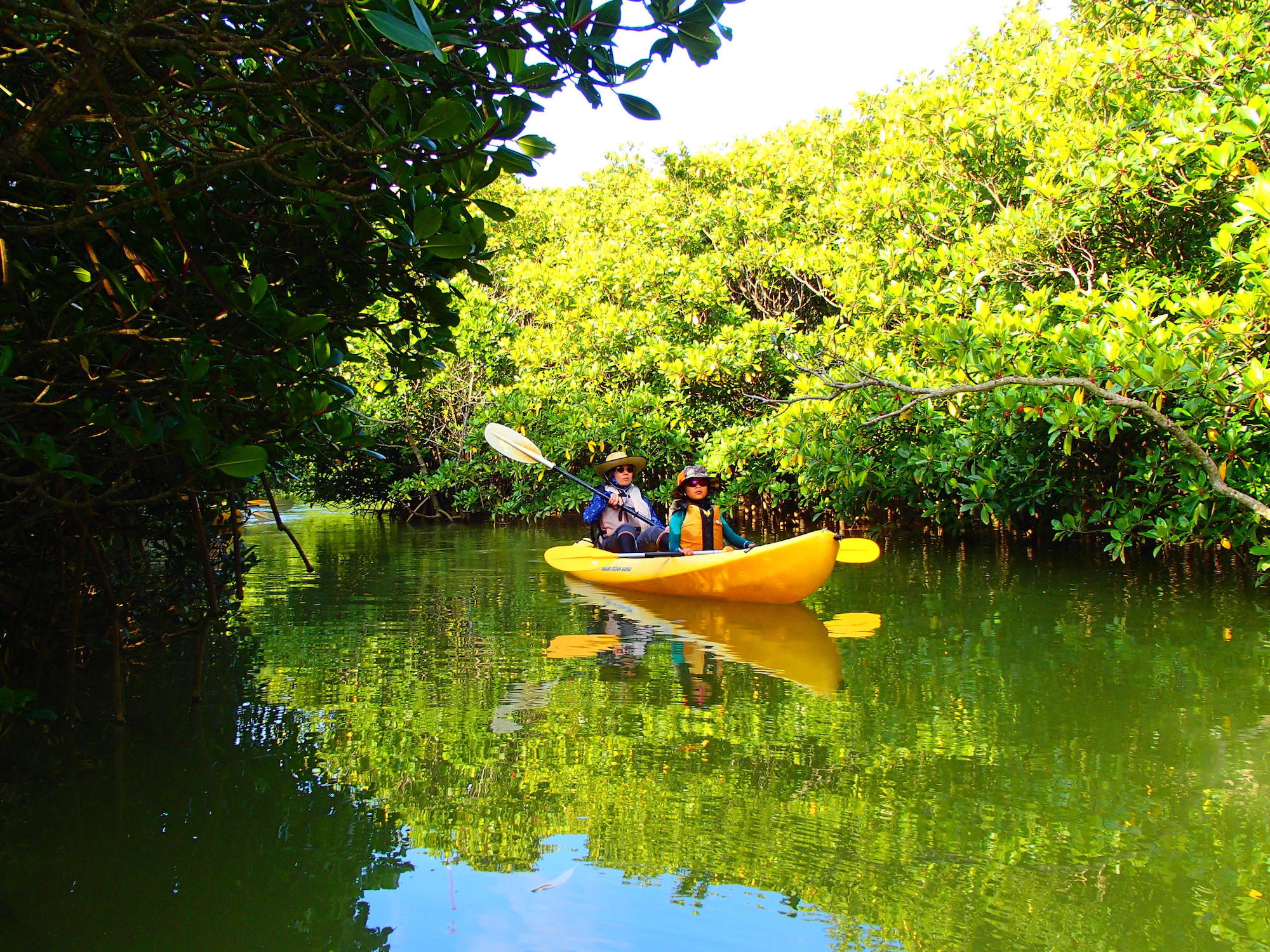 ここはどこ?日本じゃないみたい!