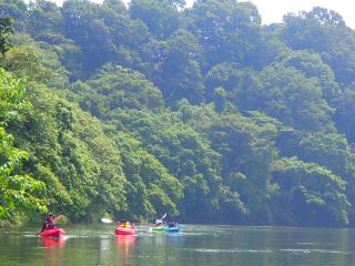 関東の清流 那珂川でカヌー体験ツアー インストラクターが同行しますので安全にご案内いたします。ランチ付きの1日満喫プランです。