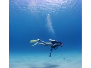 無重力の水中、楽しいダイビングを楽しみましょう