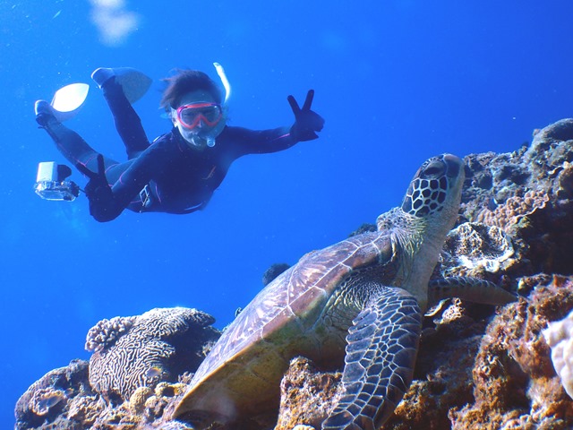 ẢȂ̂ŁAJrbNȂ̂ŋ߂Ō邱ƂłB