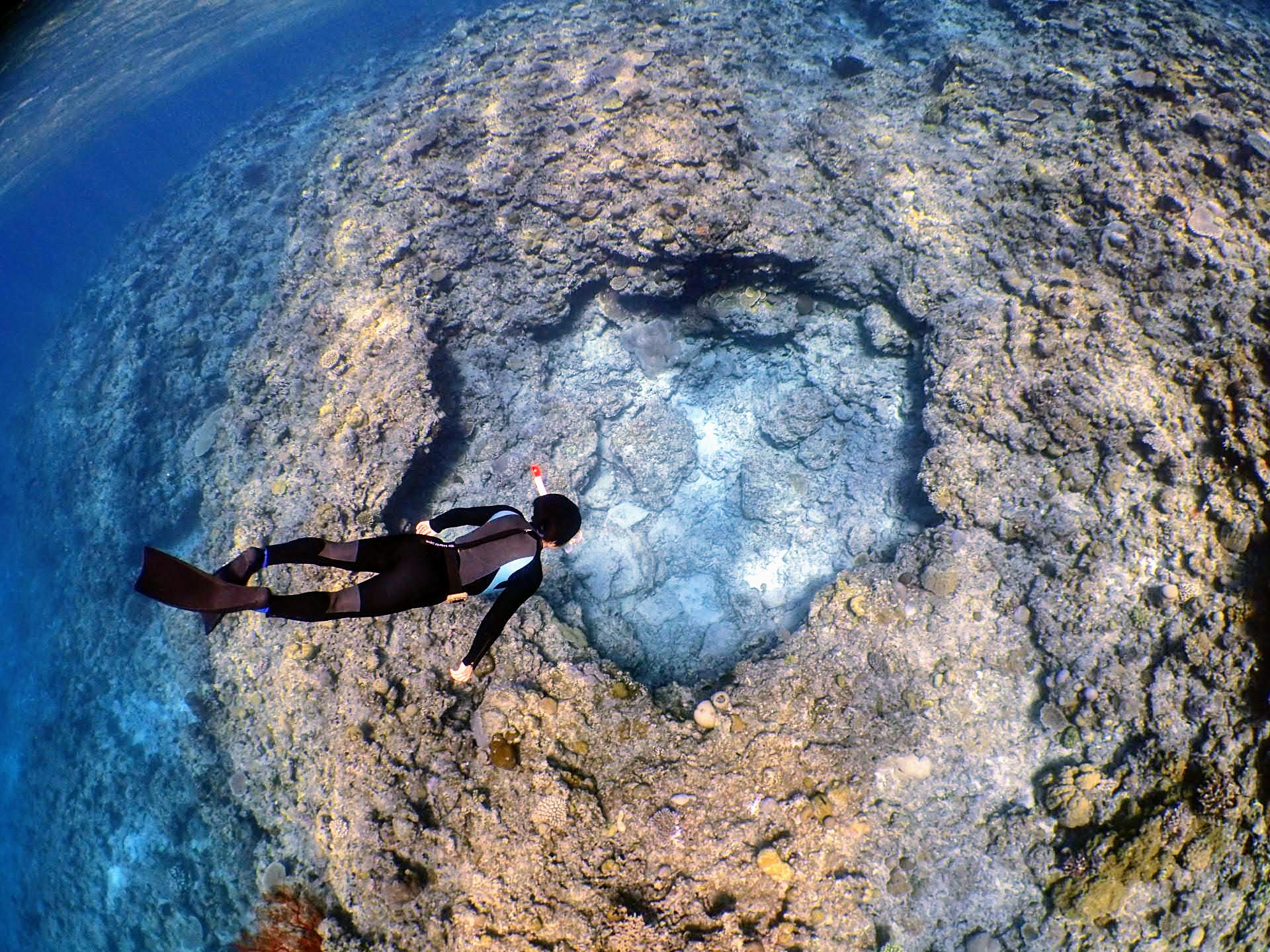 �D��S��������������i�B���S�͂ǂ��Ȃ��Ă��邩�ȁH