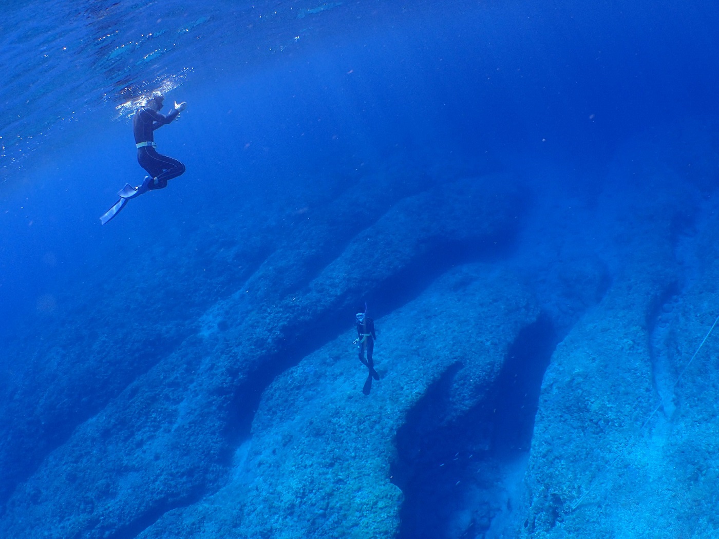 �n�`�|�C���g�ɂāB�N���o�X�i�a�j�̒��ɂ̓C�Z�G�r��T�����Q�Ă��邱�Ƃ��I�H