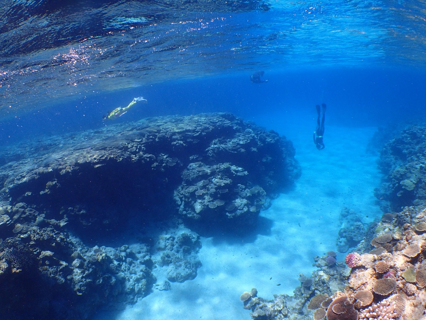 ����Ă�����A�v���v���Ɋy����ł݂܂��傤��