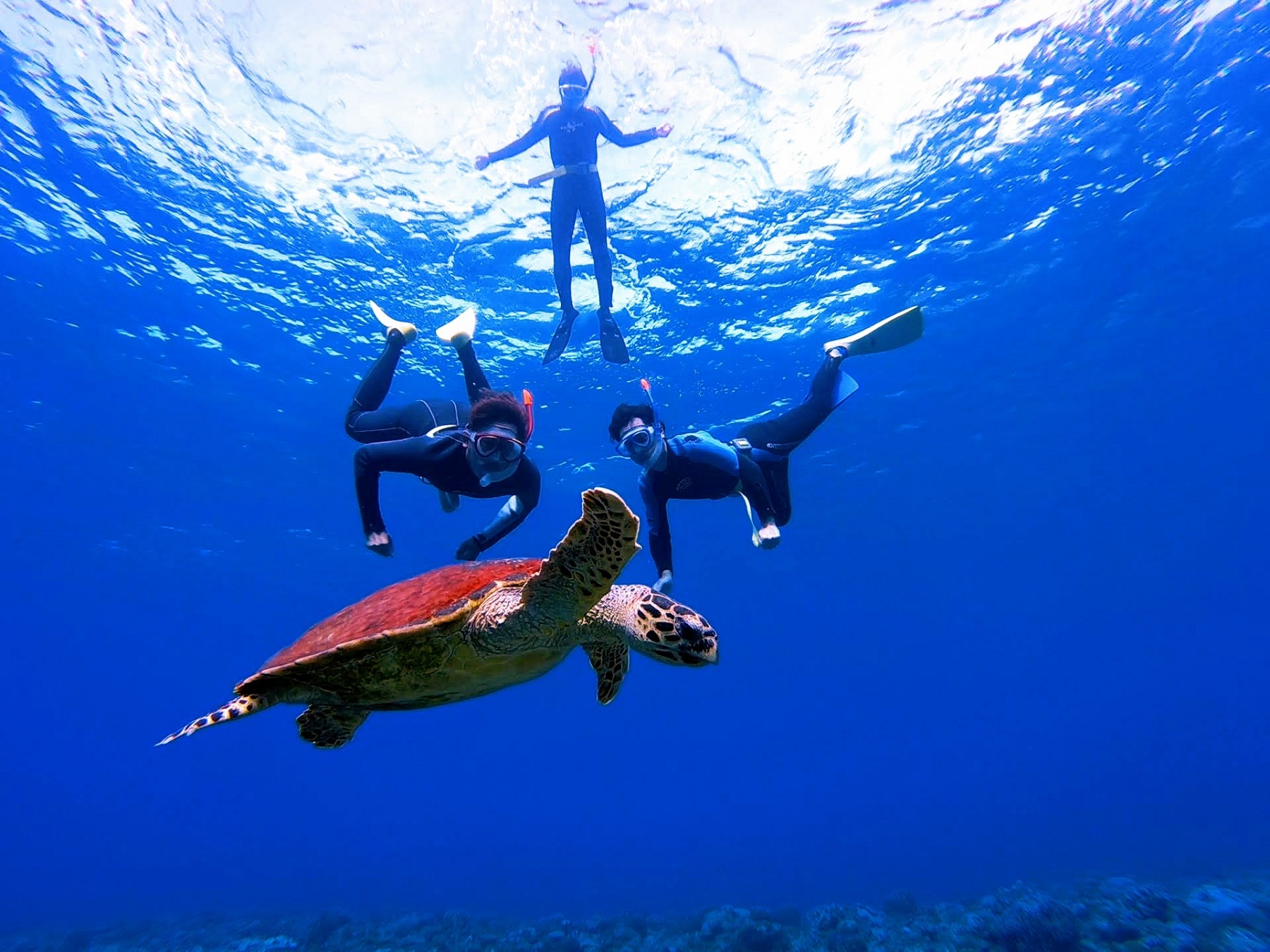 ���Ԃōs�������킹�āA�J���ƋL�O�B�e��