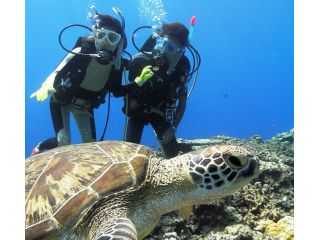 体験ダイビング中、カメが見れることが、良くあります。