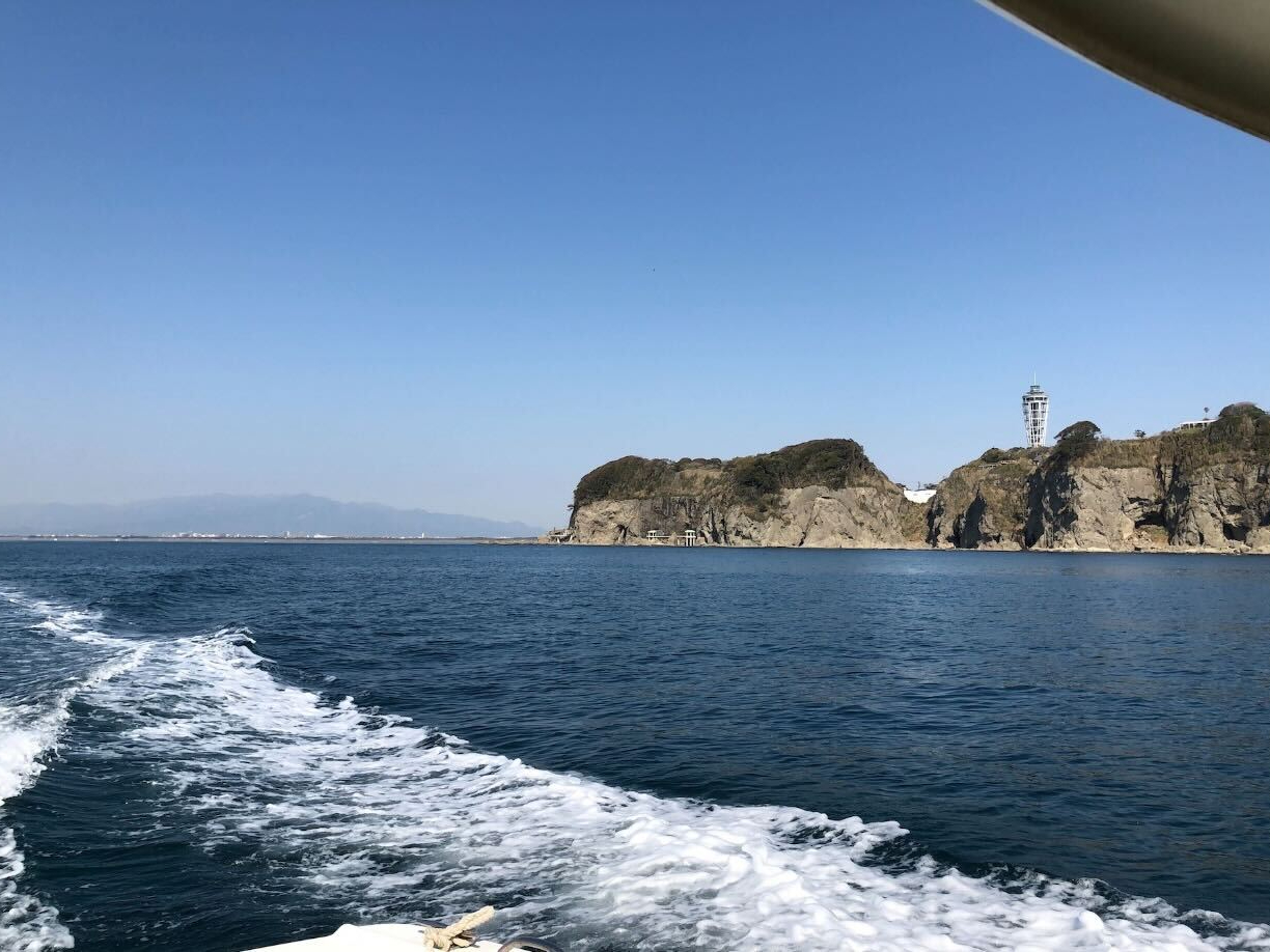 ���͘p�ƌ����΁A�ό������̍]�̓��͊O���܂���I�I