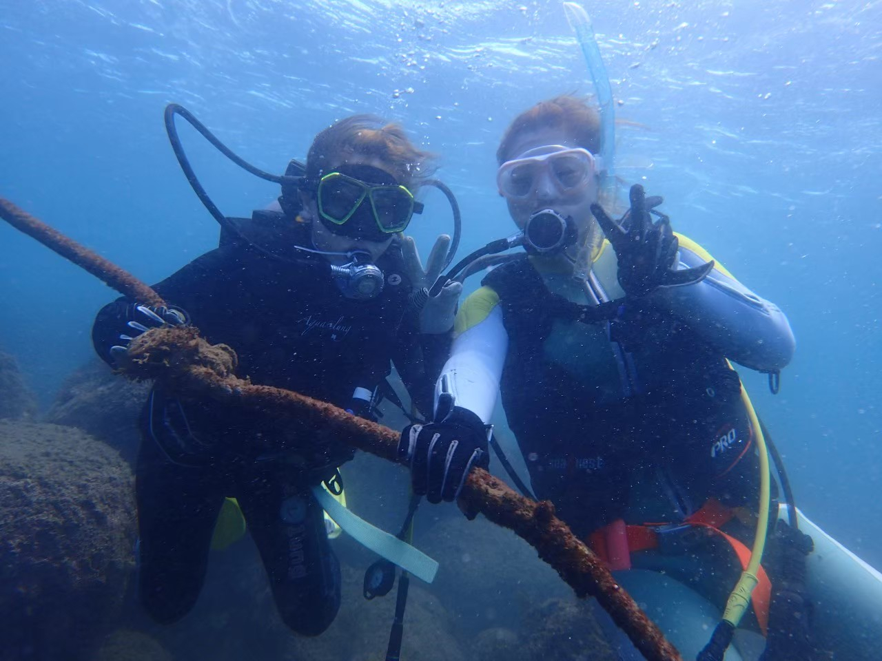 新宿・埼玉から無料送迎付き・体験ダイビング☆真鶴半島or伊豆半島☆