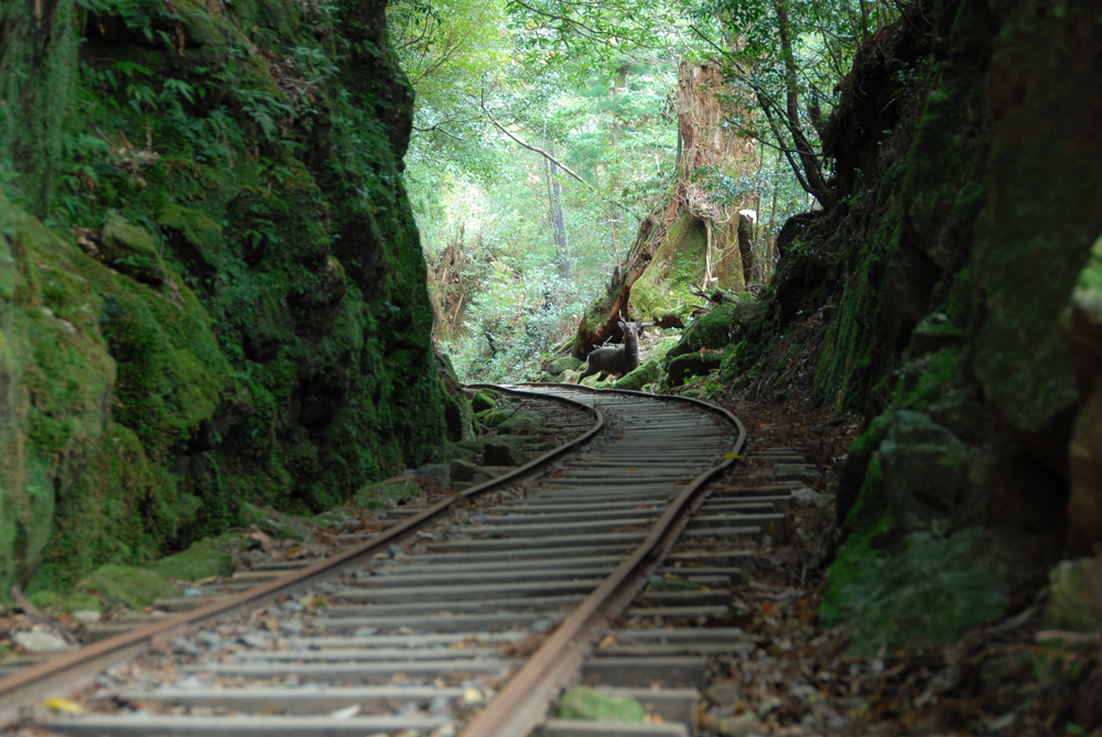 roRgbRčs܂Bɂ̓gbRȂ`CŐi݂܂B