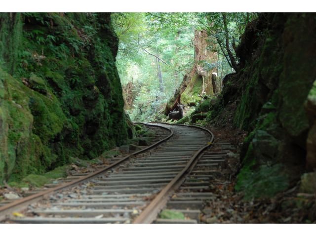 荒川登山口よりトロッコ道を歩いて行きます。時にはトロッコを避けながら冒険気分で進みます。