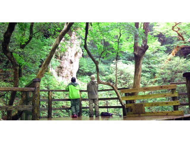 感慨深い対面です