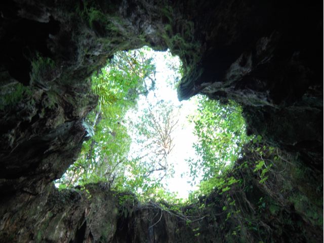 この景色を見に行きましょう。