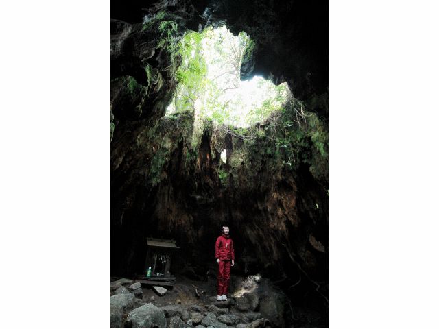 意外と広いウィルソン株の中です。