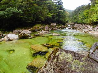 ランド内の清流