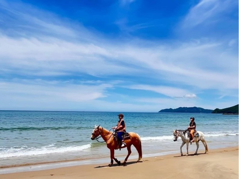ビーチ乗馬体験【初心者向け】所要時間1時間半!~ファミリー・女性・カップルにおす...
