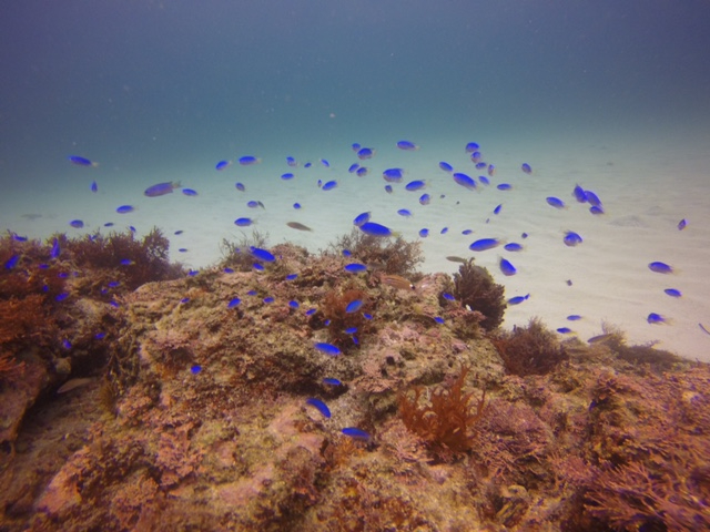          Ắ@ςBBB@ɓȂ̂?? ݂( L䇁M)