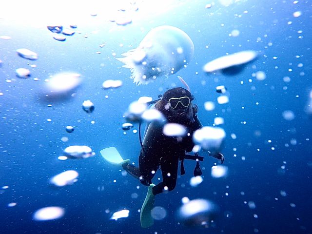 水中の泡がきれい!!
