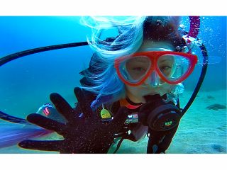 水中ってこんなに楽しい!! 潜ってみませんか?