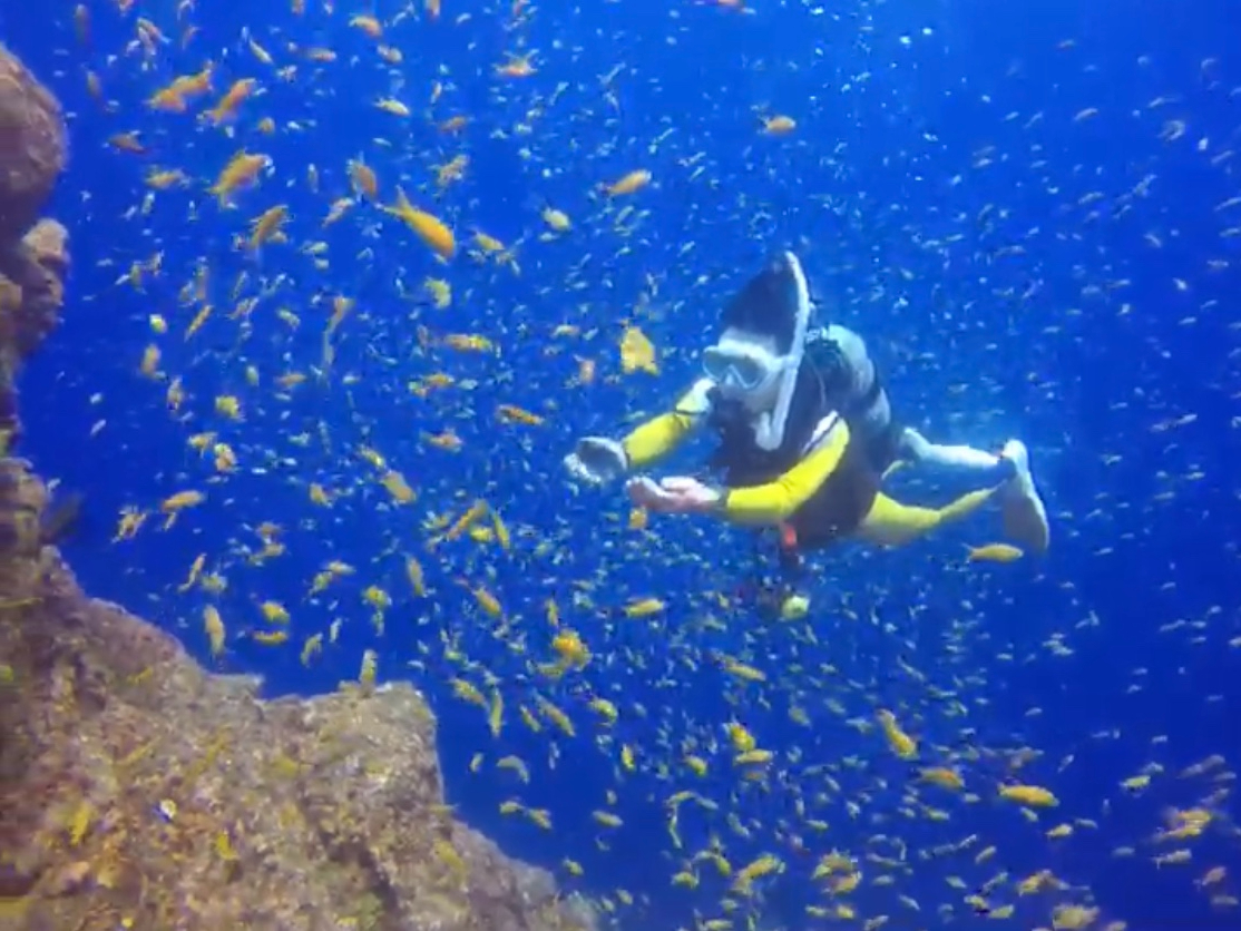 @@@@!!  {[gŗVڂBB@NAbvڎwB