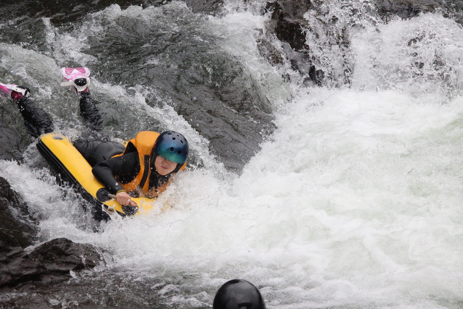 xNO.PIIa݂ɂȂ锗́