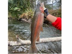 秋の渓流釣りは大物に出会えるチャンス