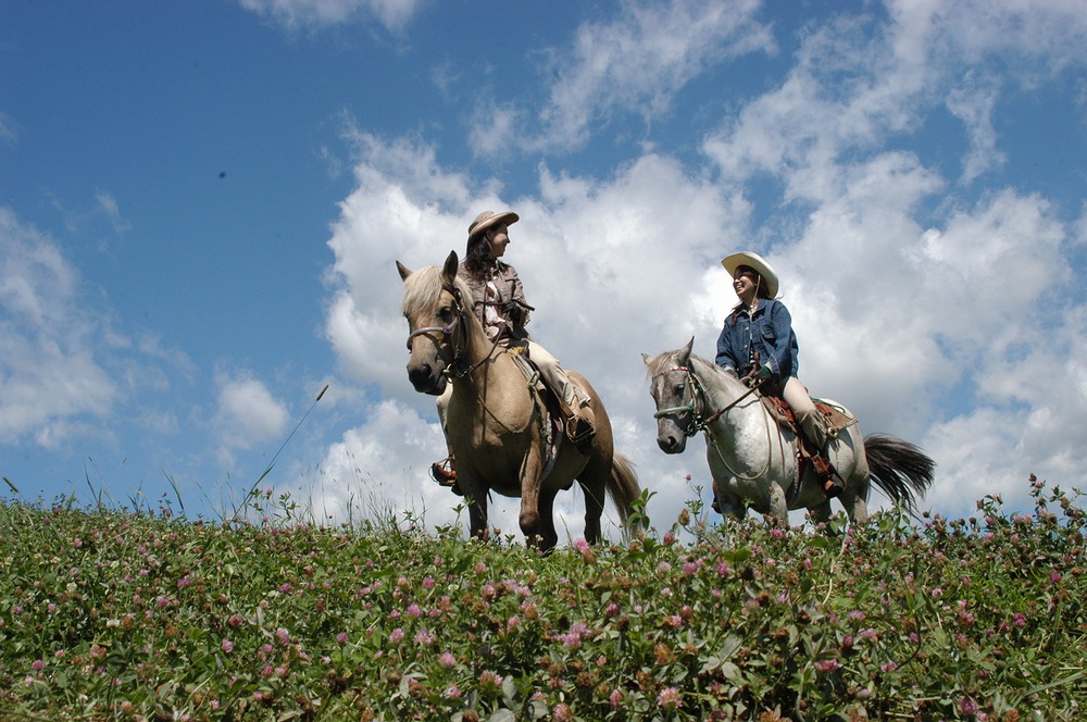 【お散歩コース(30分)】★午前スタート★どさんこホーストレッキング 函館市内で...