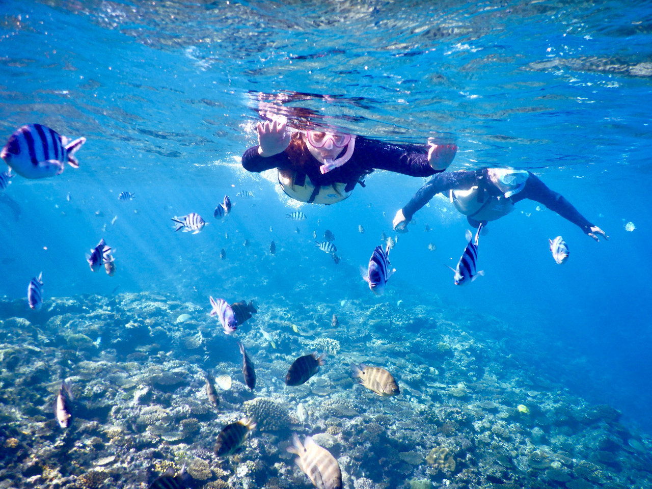 ̓Ał͂܂BFƂǂ̔MыBƂoƂo܂I