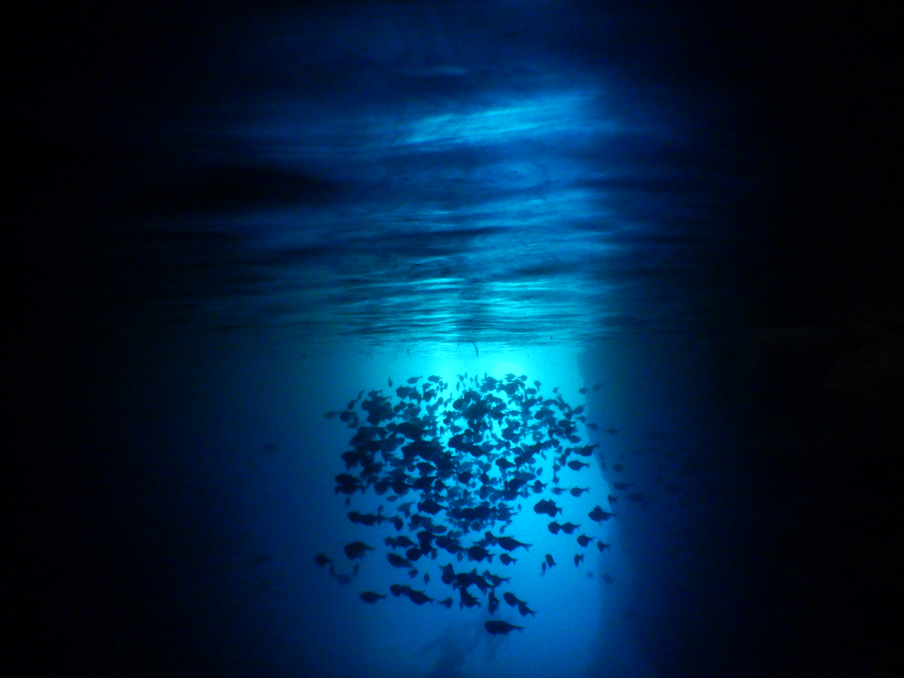 Aɂ͖s̋BQꂢĂ܂BVGbgYɌ邱Ƃo܂I