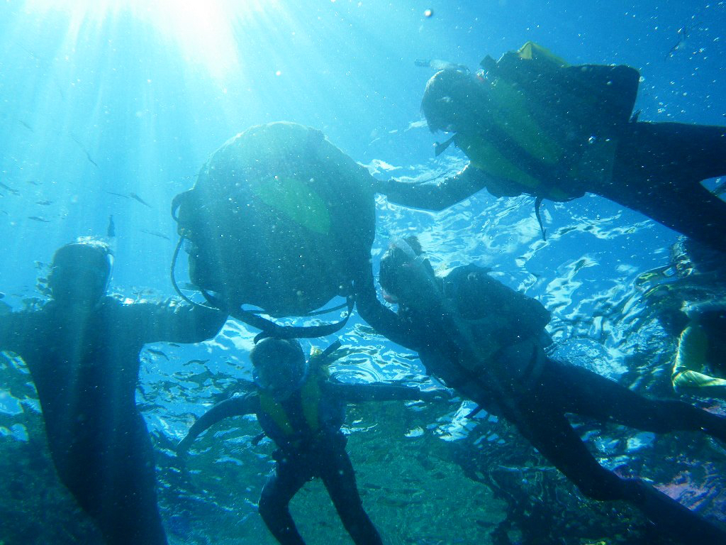 cA[ł͑傫ȃt[ggp܂Bɕ߂܂ĂΊCɕsȕSłI