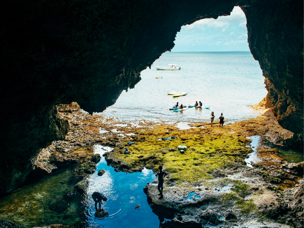 C̃RfBVǂ΁A哴Aɏ㗤邱Ƃł܂BňꑧeB[^CI