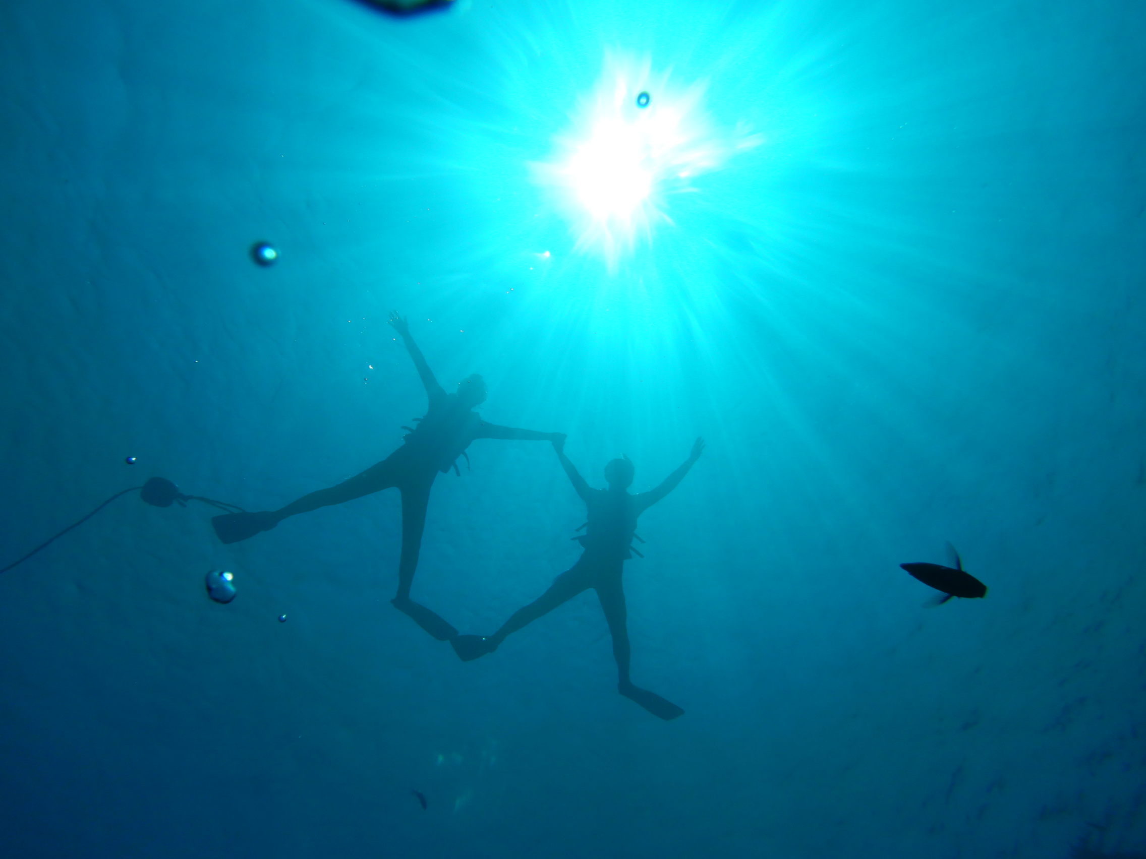 透明度も抜群です!魚の多さも本島トップクラスです。