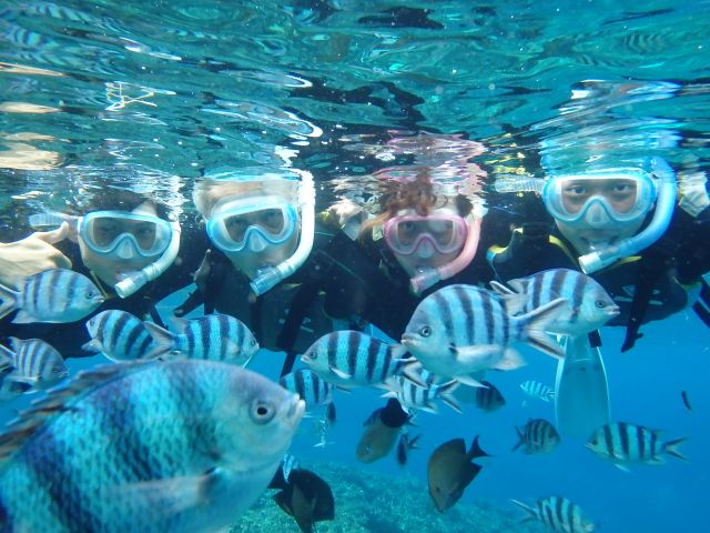 手を伸ばすとたくさんの熱帯魚が寄ってきますよ。