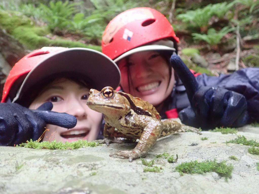 ���܂ɓo��B��̔Ԑl�h�ǂ�т��h����