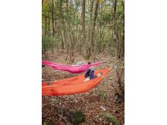 ハンモックに揺られながら思い思いに過ごそう