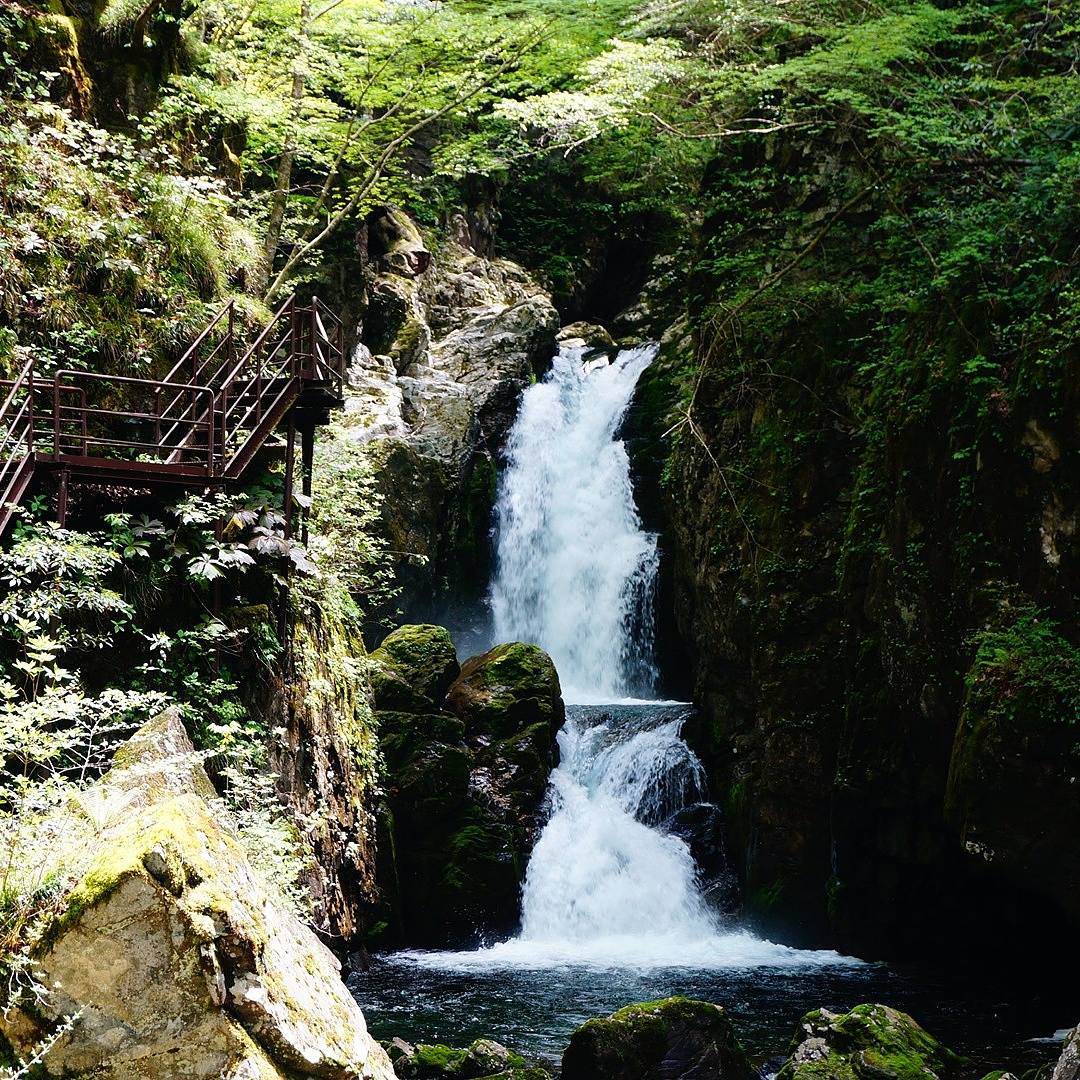 もちろん大迫力の滝も楽しめます!