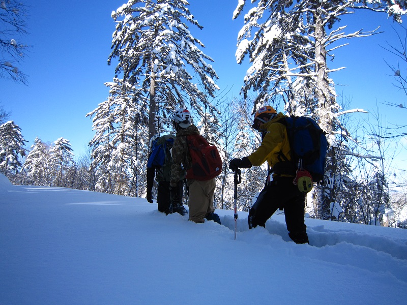 ���ɂ͕G�܂Ő��郉�b�Z����