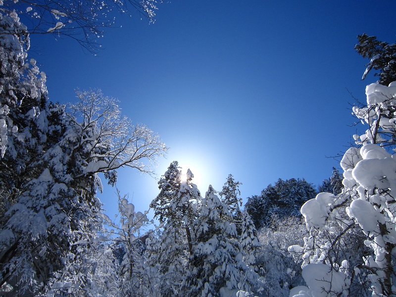 �~�̂��[��Ƃ����X�����