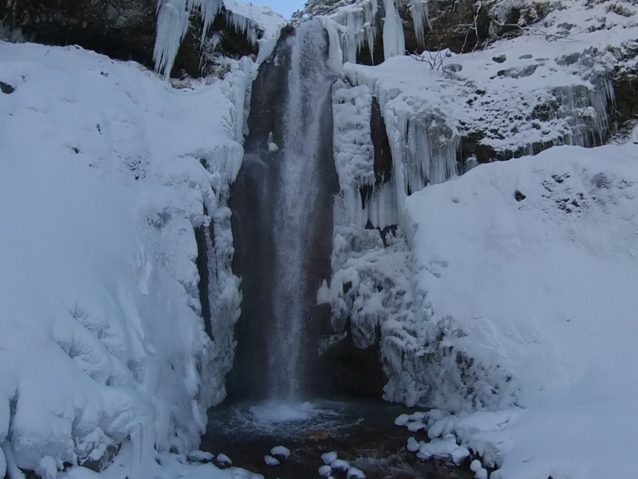 �����҃R�[�X��l��͉���̉e����F�Z���󂯂�