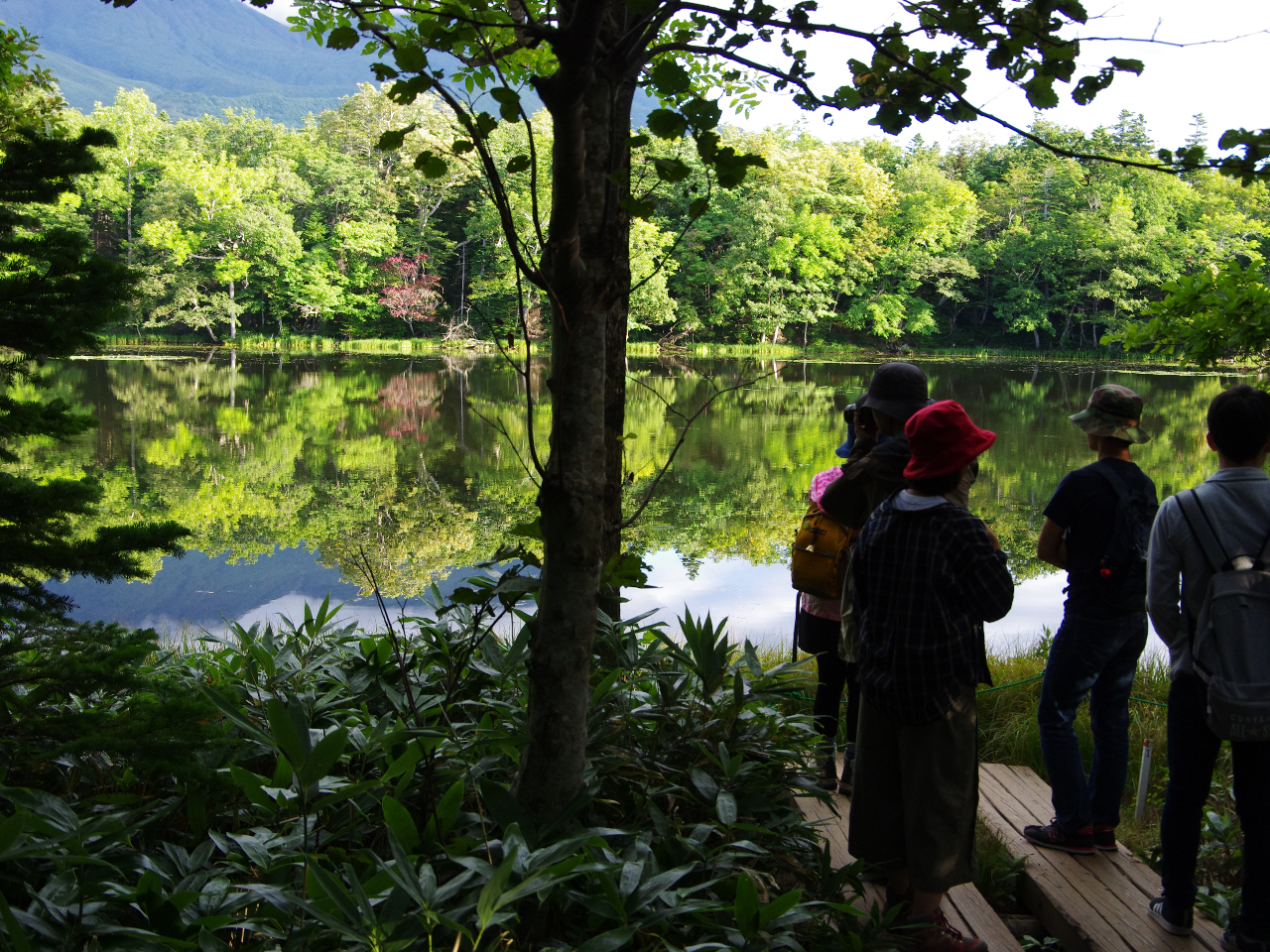 湖に映り込む木々や知床連山が美しいです。(3湖からの景色)