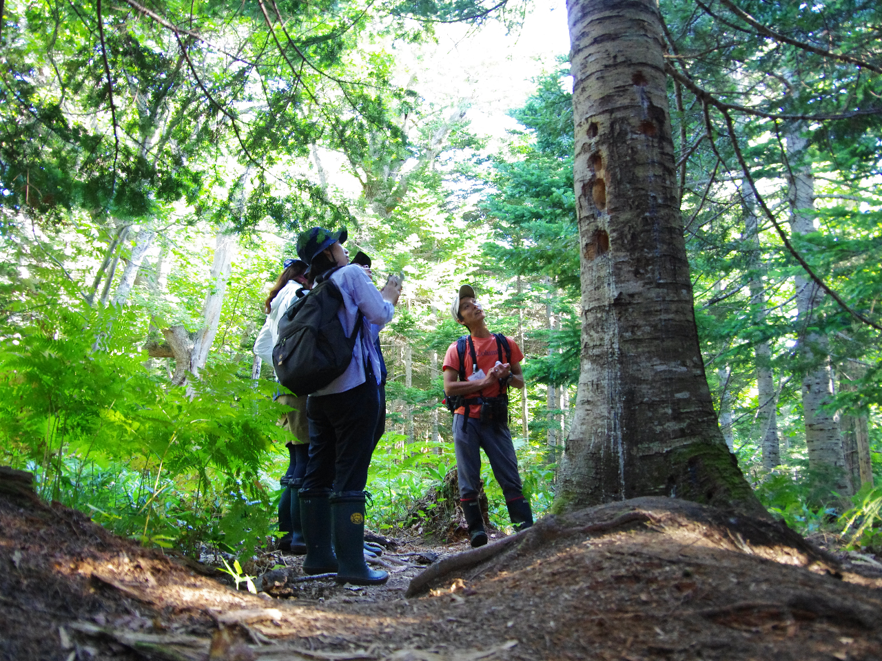 쐶u̓vU􂵂܂BKChcA[łȂƖĂ܂悤ȓŁA`CI