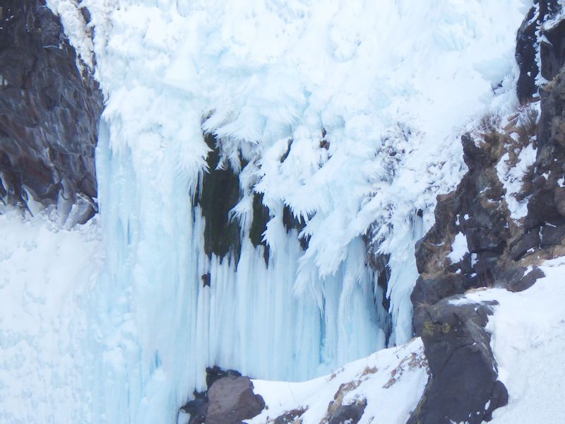 【午前2.5時間 白銀の森を歩き絶景のフレペの滝へ!】フレペの滝スノーシューイン...