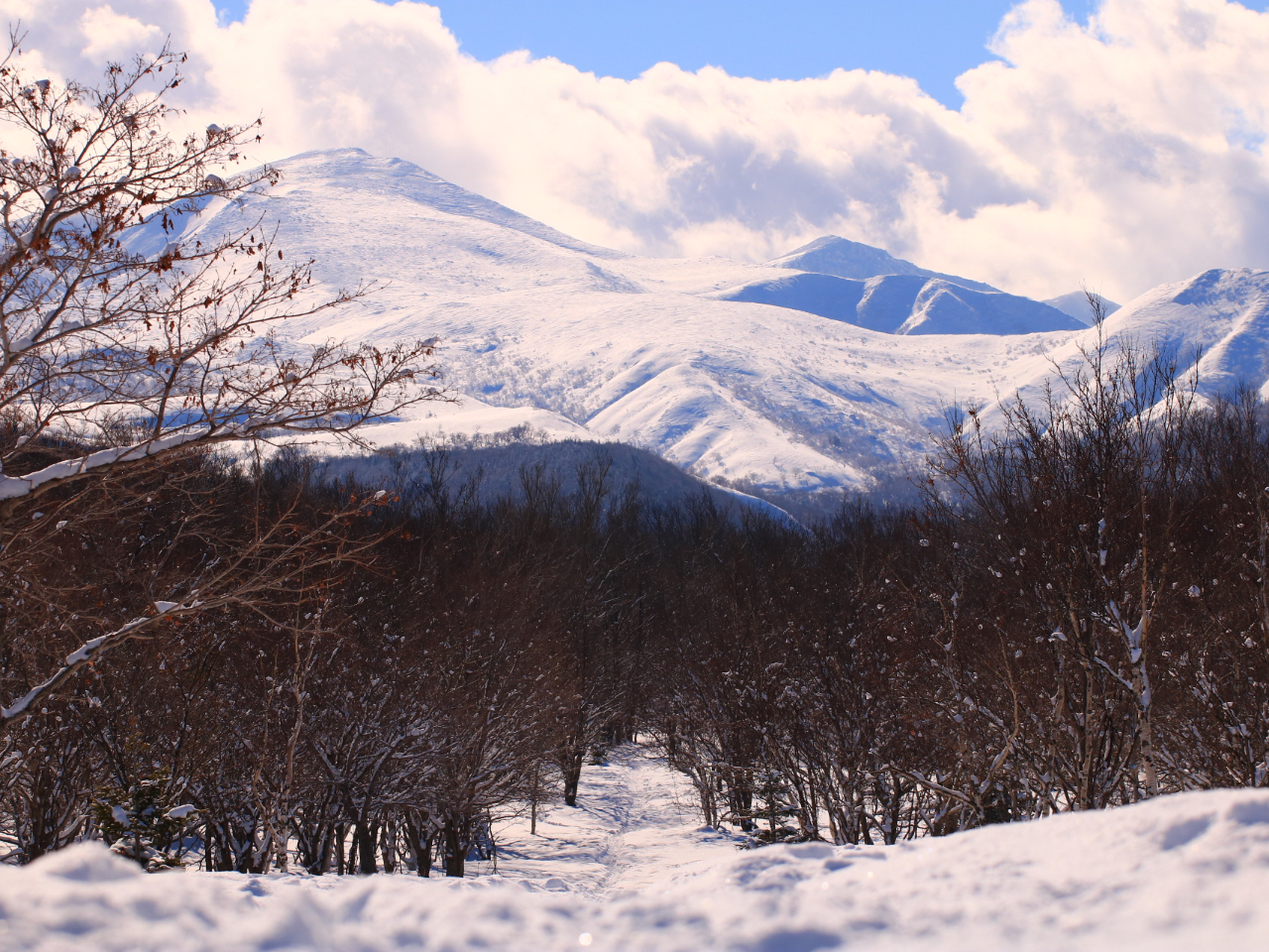 RւƑH_ςČĂ݂ƐV邩܂B