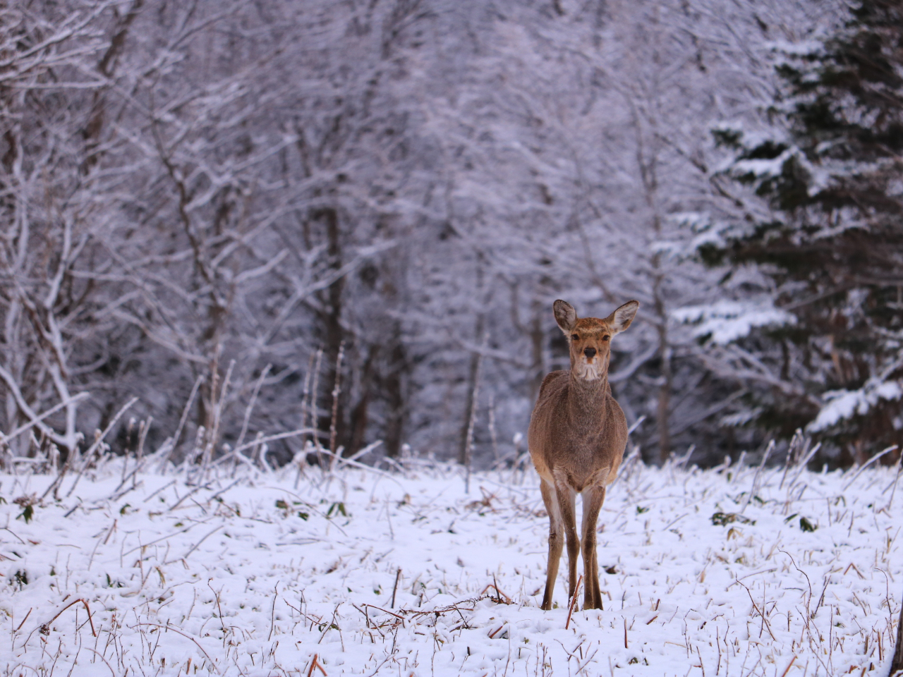 X̒ł͂ǂȏo邩܂By݂łˁ