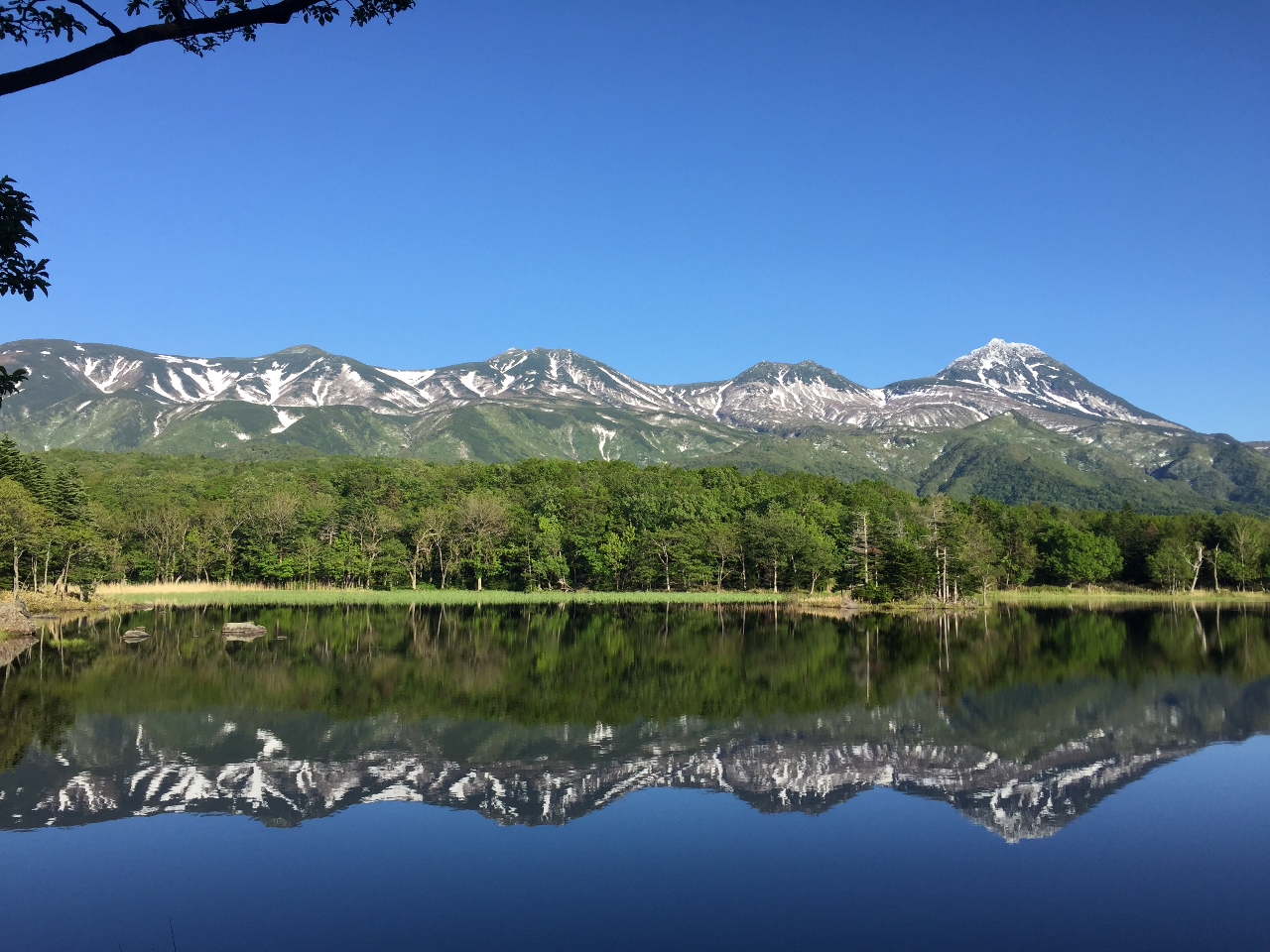 【ネイチャーガイドと歩く知床!3時間】知床五湖ガイドウォーク