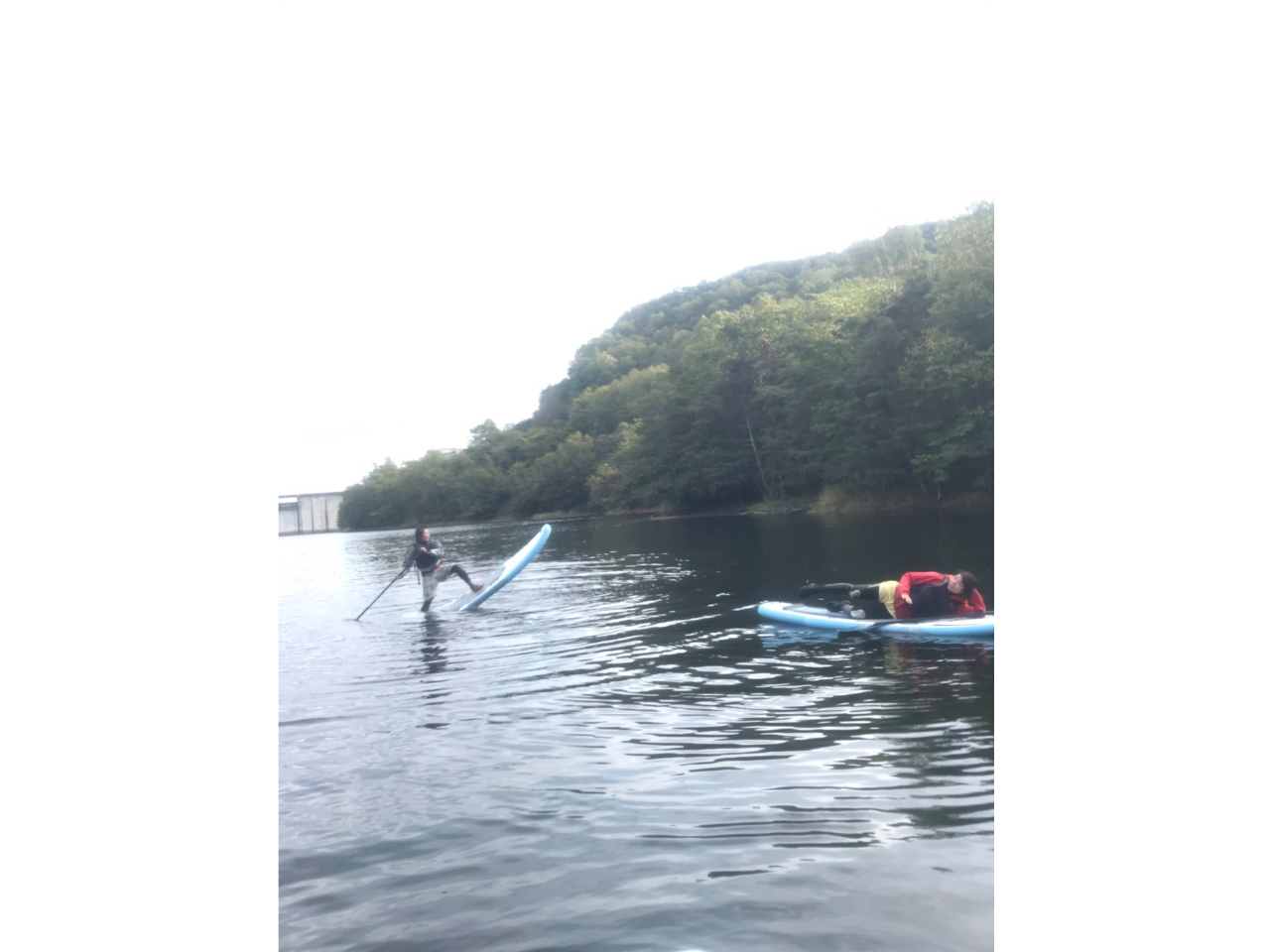 yǁAAObVuɃt[X^Cyނ̂IXXłi΁j