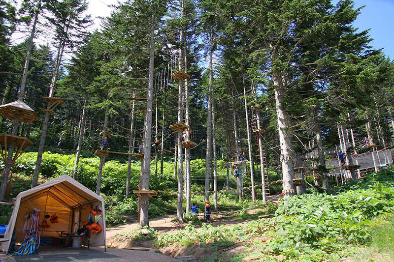 アドベンチャーパーク