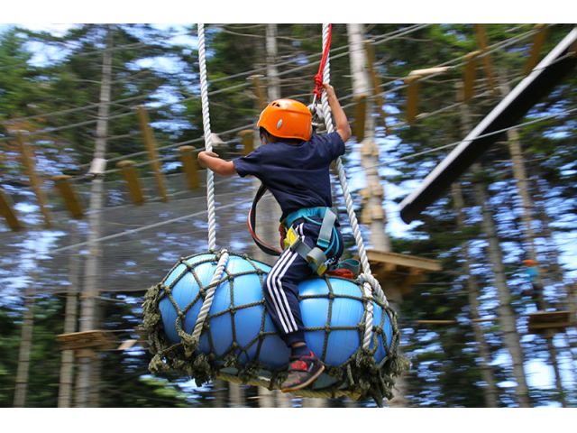 NACニセコアドベンチャーセンター:【じゃらんスペシャルウィーク】アドベンチャーパーク