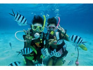 透明度抜群の海の中を体験